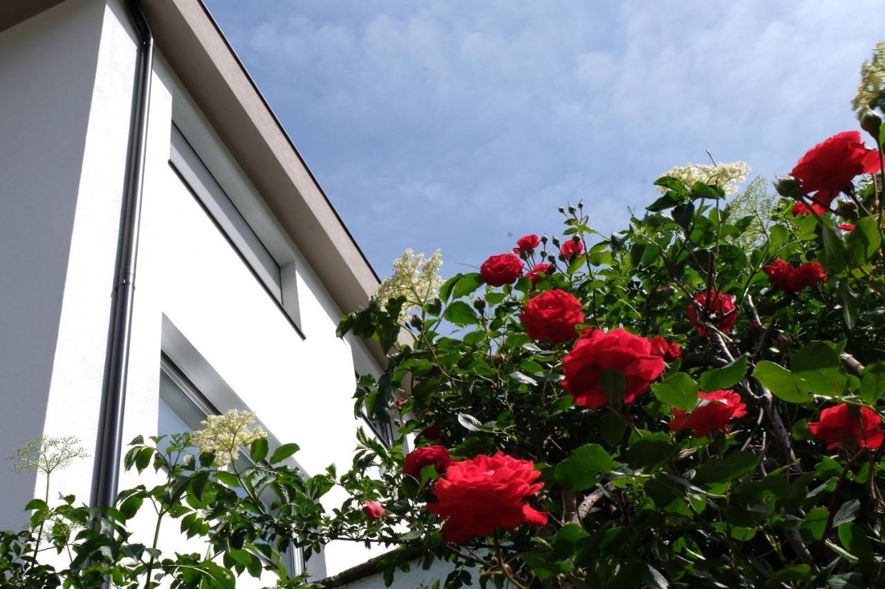 Apartment Le Rose Di Marianne - Ovest Vahrn Exterior foto